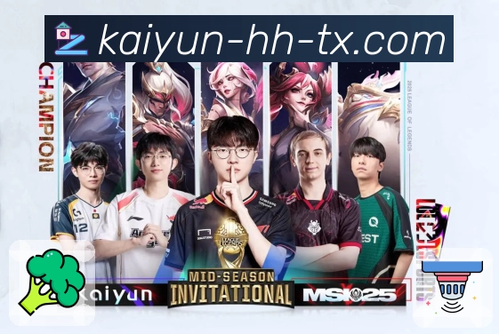 开云 Sports 官方视觉图